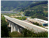 ���Ђ��S���������т̎ʐ^