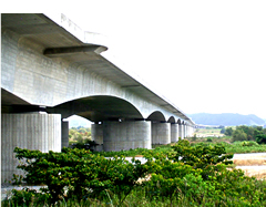 �ƊE��20�N�ȏ�̎���